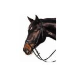 cabezada-inglesa-cuero-3102068