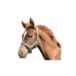 cabezada-nylon-potros-y-ponys-3101743